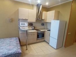 Снять однокомнатную квартиру Бориса Богаткова ул, 25  м&sup2;, 2450 рублей