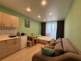 Снять однокомнатную квартиру Ясный Берег ул, 30  м&sup2;, 3061 рублей