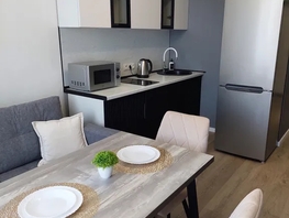 Снять однокомнатную квартиру Дуси Ковальчук ул, 45  м&sup2;, 3750 рублей