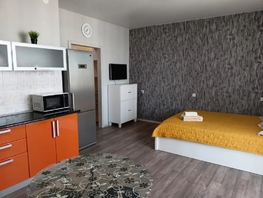 Снять однокомнатную квартиру Краузе ул, 32  м&sup2;, 2800 рублей