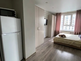 Снять однокомнатную квартиру Владимира Заровного ул, 21  м&sup2;, 3300 рублей