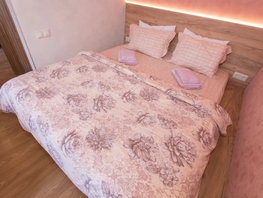 Снять однокомнатную квартиру Трудовая ул, 27  м&sup2;, 2990 рублей