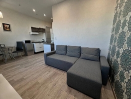 Снять однокомнатную квартиру Сакко и Ванцетти ул, 25  м&sup2;, 3367 рублей