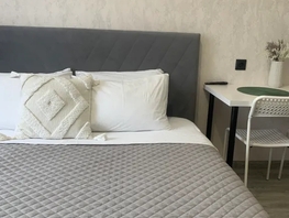 Снять однокомнатную квартиру Тюленина ул, 24  м&sup2;, 2700 рублей