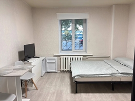 Снять однокомнатную квартиру Владимировская ул, 16  м&sup2;, 3000 рублей