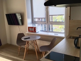 Снять однокомнатную квартиру Светлановская ул, 27  м&sup2;, 2500 рублей
