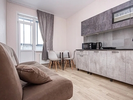 Снять однокомнатную квартиру Бородина ул, 35  м&sup2;, 2800 рублей