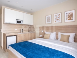 Продается Студия Красный пр-кт, 17  м&sup2;, 3700000 рублей