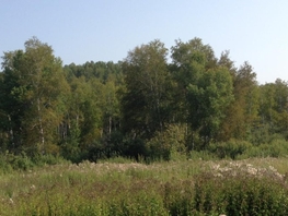 Участок, 1026 сот., Земля сельхозназначения