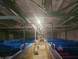 Готовый бизнес, 1600 м²