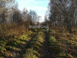 Продается Земля сельхозназначения Векторная ул, 87.92 сот., 1500000 рублей