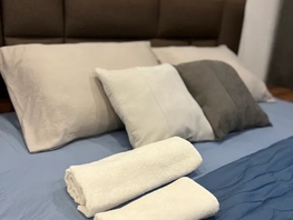 Снять однокомнатную квартиру Академика Павлова ул, 25  м&sup2;, 2790 рублей
