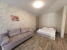 Снять однокомнатную квартиру Карла Маркса проспект, 34  м&sup2;, 2700 рублей