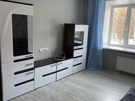 Продается 2-комнатная квартира Карла Ильмера ул, 32  м², 3850000 рублей