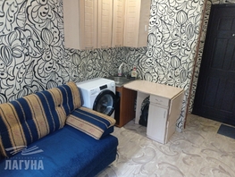 Снять однокомнатную квартиру Елизаровых ул, 16.4 м², 18000 рублей
