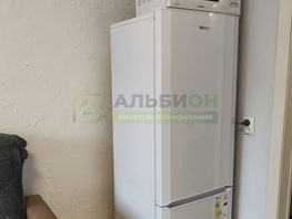 Снять однокомнатную квартиру Карпова ул, 18  м&sup2;, 25000 рублей