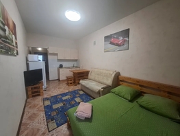 Снять однокомнатную квартиру Ивана Черных ул, 40  м&sup2;, 2950 рублей