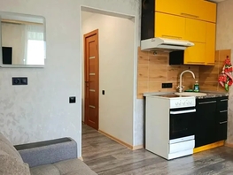Снять однокомнатную квартиру Ивана Черных ул, 29  м&sup2;, 2368 рублей
