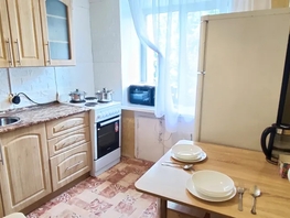 Снять двухкомнатную квартиру Ленина пр-кт, 45  м&sup2;, 3000 рублей