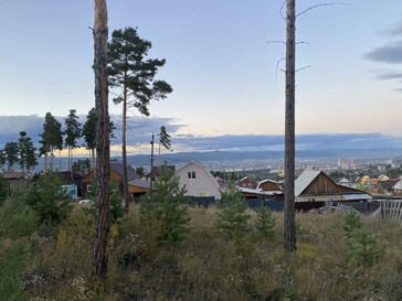 ДНТ Перспектива